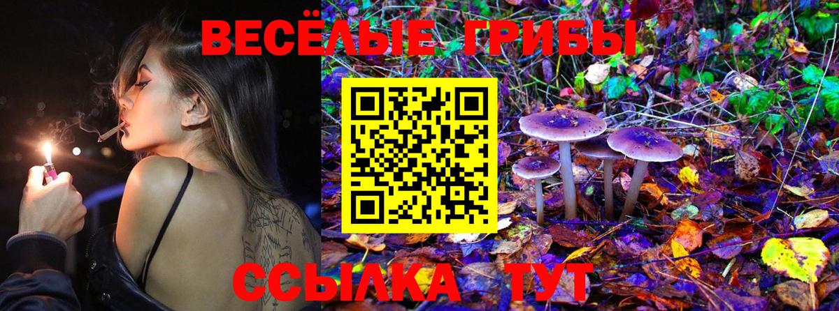 Нововоронеж  Галлюциногенные грибы MAGIC MUSHROOMS  Вход с VPN 