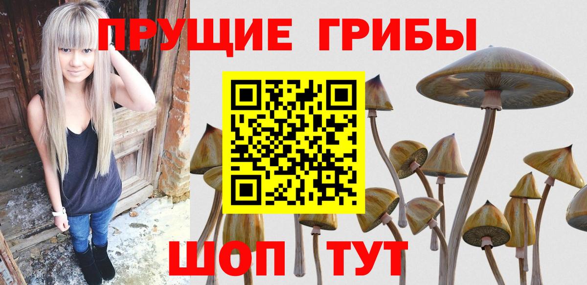 Галлюциногенные грибы MAGIC MUSHROOMS Нововоронеж