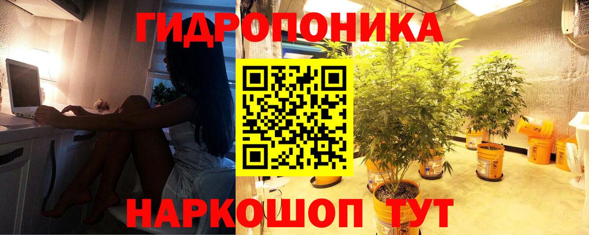 Канабис сатива  Шишки марихуана сатива  Вход с VPN  Каннабис сатива  Нововоронеж  Бошки Шишки Ganja 